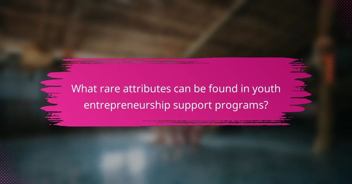 What rare attributes can be found in youth entrepreneurship support programs?
